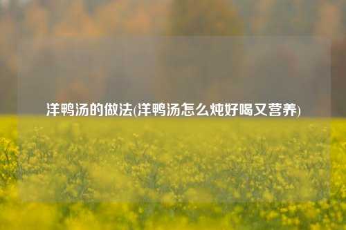 洋鸭汤的做法(洋鸭汤怎么炖好喝又营养)