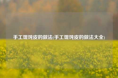 手工馄饨皮的做法(手工馄饨皮的做法大全)