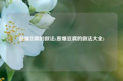 葱爆豆腐的做法(葱爆豆腐的做法大全)