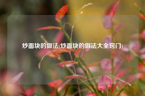 炒面块的做法(炒面块的做法大全窍门)