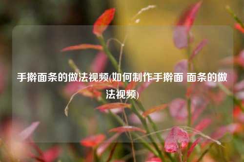 手擀面条的做法视频(如何制作手擀面 面条的做法视频)