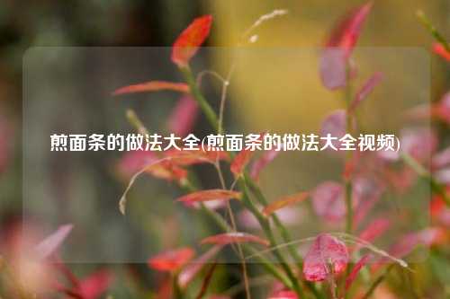 煎面条的做法大全(煎面条的做法大全视频)