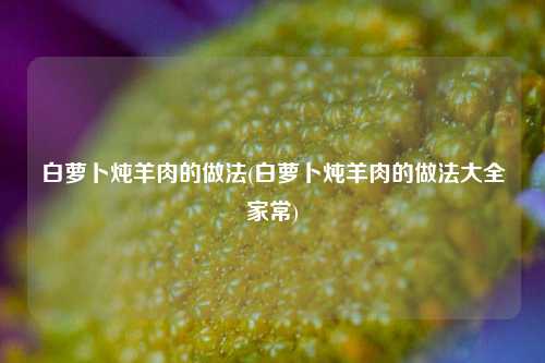 白萝卜炖羊肉的做法(白萝卜炖羊肉的做法大全家常)