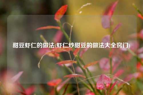 甜豆虾仁的做法(虾仁炒甜豆的做法大全窍门)