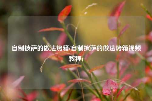 自制披萨的做法烤箱(自制披萨的做法烤箱视频教程)