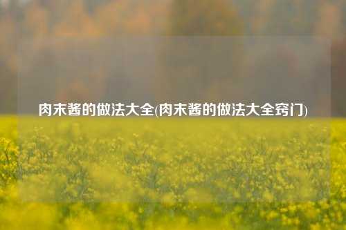 肉末酱的做法大全(肉末酱的做法大全窍门)