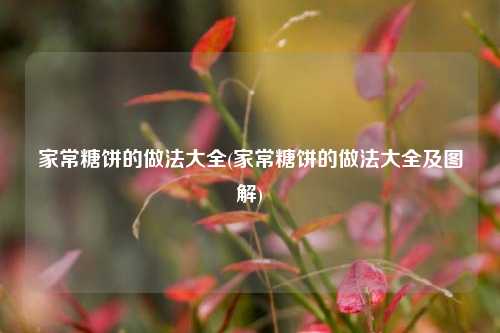 家常糖饼的做法大全(家常糖饼的做法大全及图解)