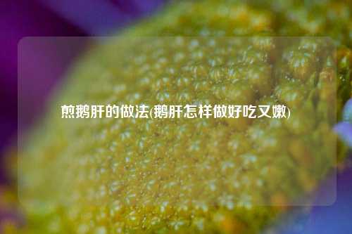 煎鹅肝的做法(鹅肝怎样做好吃又嫩)