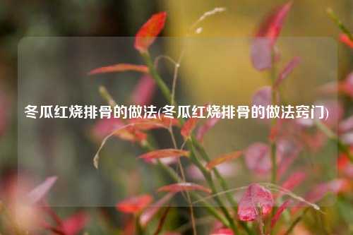 冬瓜红烧排骨的做法(冬瓜红烧排骨的做法窍门)